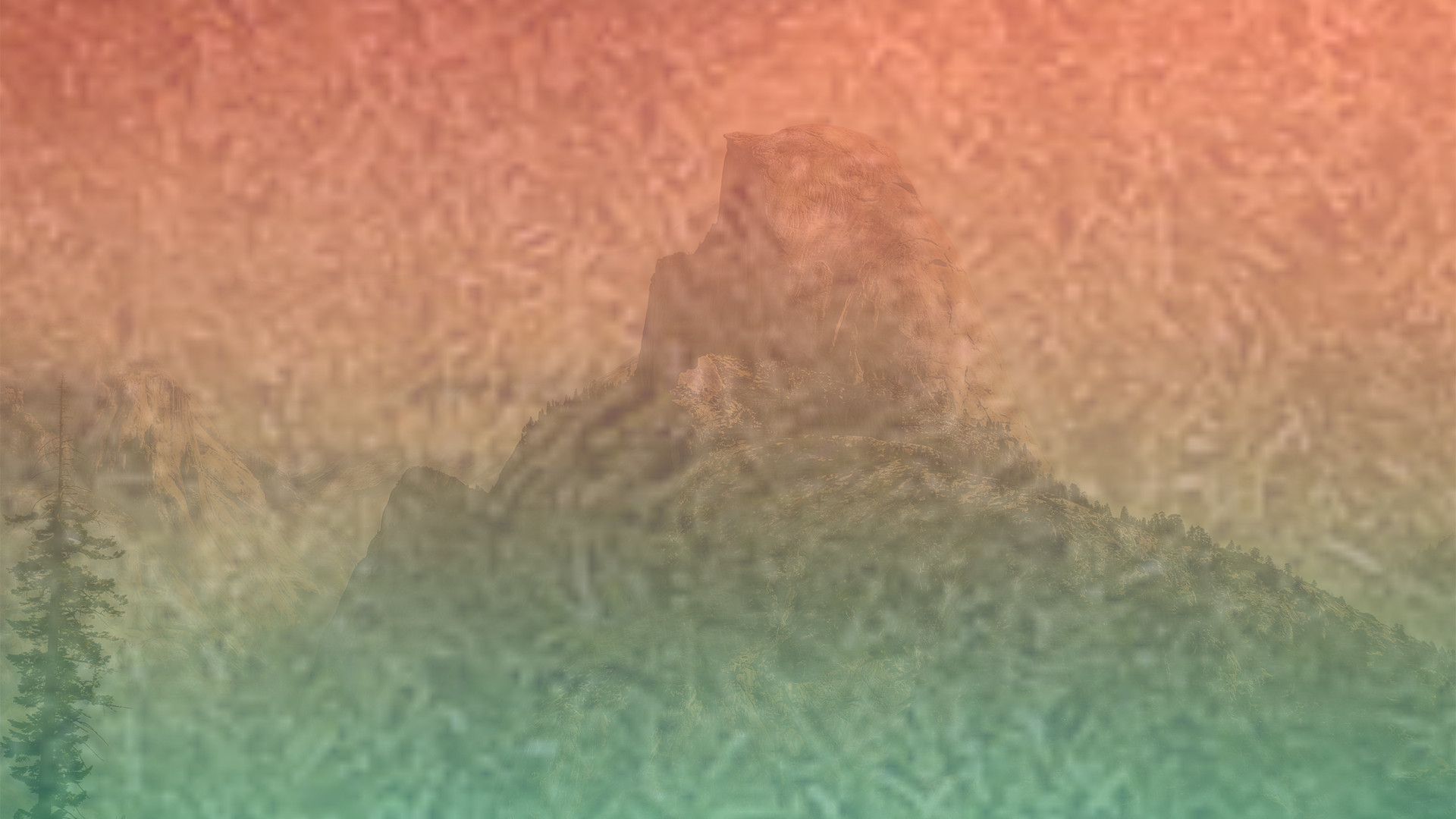 隐私保护严密的呼死你在线使用